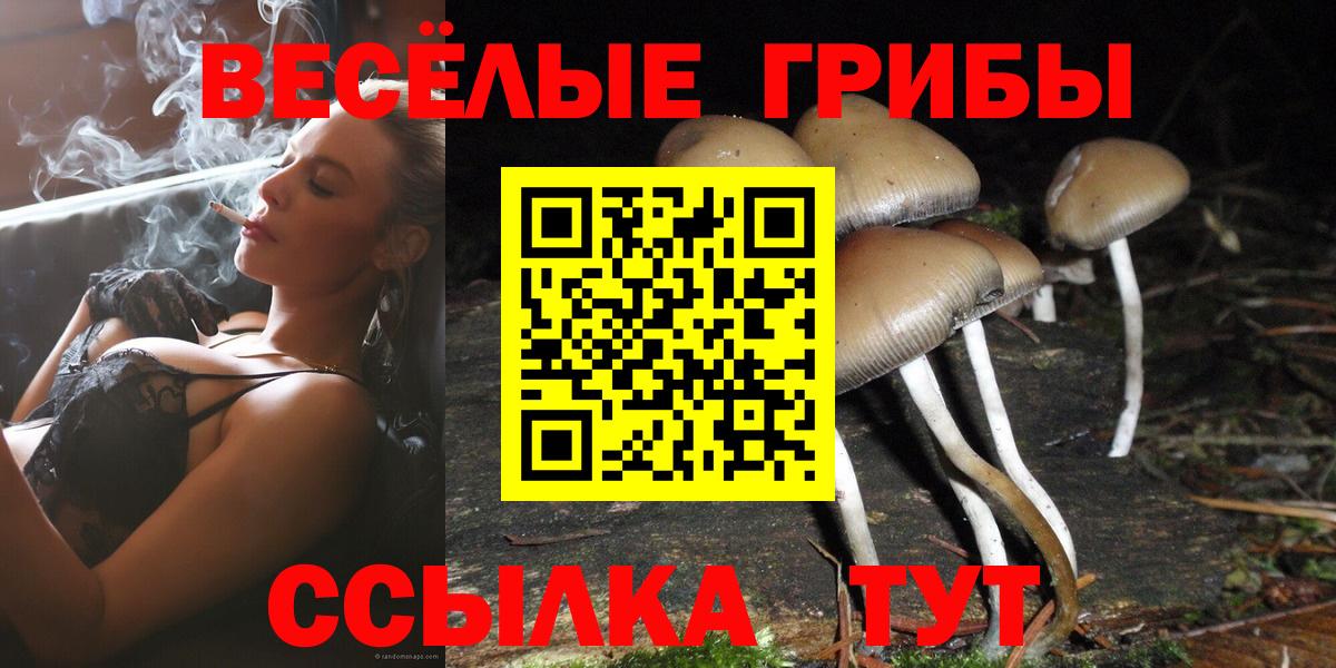 Псилоцибиновые грибы Cubensis Апатиты