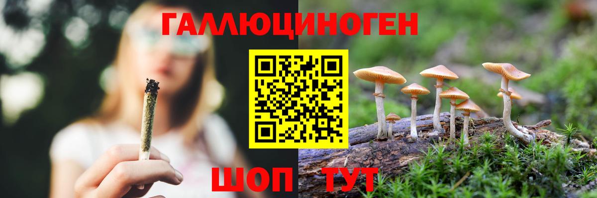 Апатиты  Псилоцибиновые грибы ЛСД  что такое наркотик  Вход с VPN 